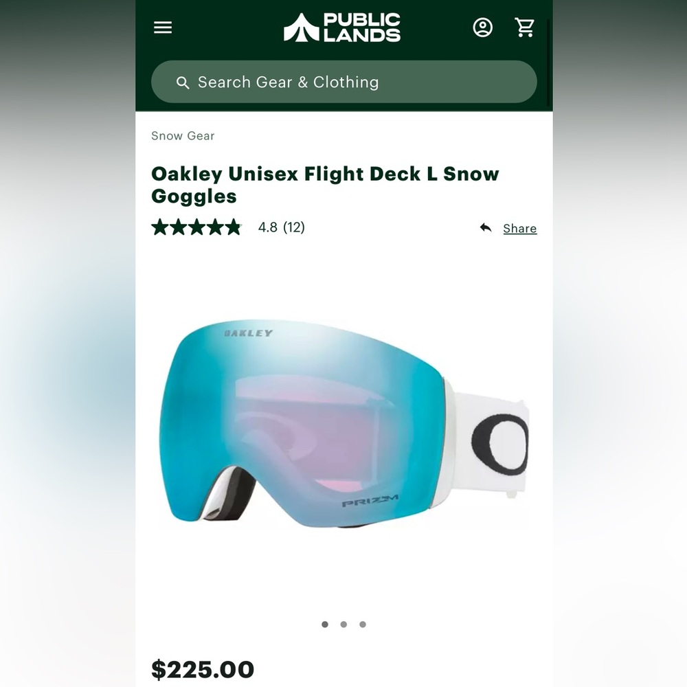 Oakley Flight Deck L Goggles